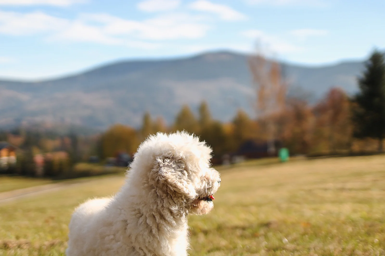 Realizacja fotograficzna